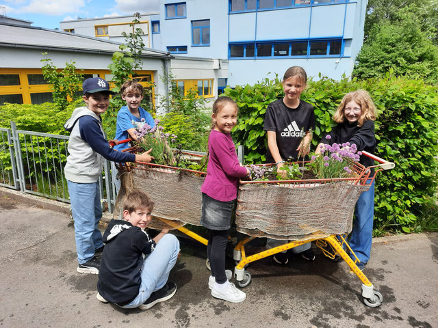 Kräutergarten im Einkaufswagen